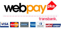 ICON-PAY